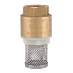 Clapet anti-retour avec crépine