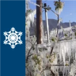 Arroseur antigel 17 ATG 1/2"M - Rolland – Image 2