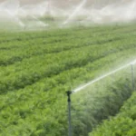 Arroseur laiton réglable 80 - 1/2" M - Vyr – Image 2