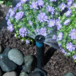 Buse pour plates bandes - Hunter – Image 2