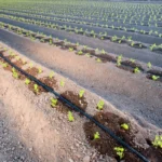 Gaine agricole S200 Ø 16 mm – 1,1 l/h – Caudal – Image 2