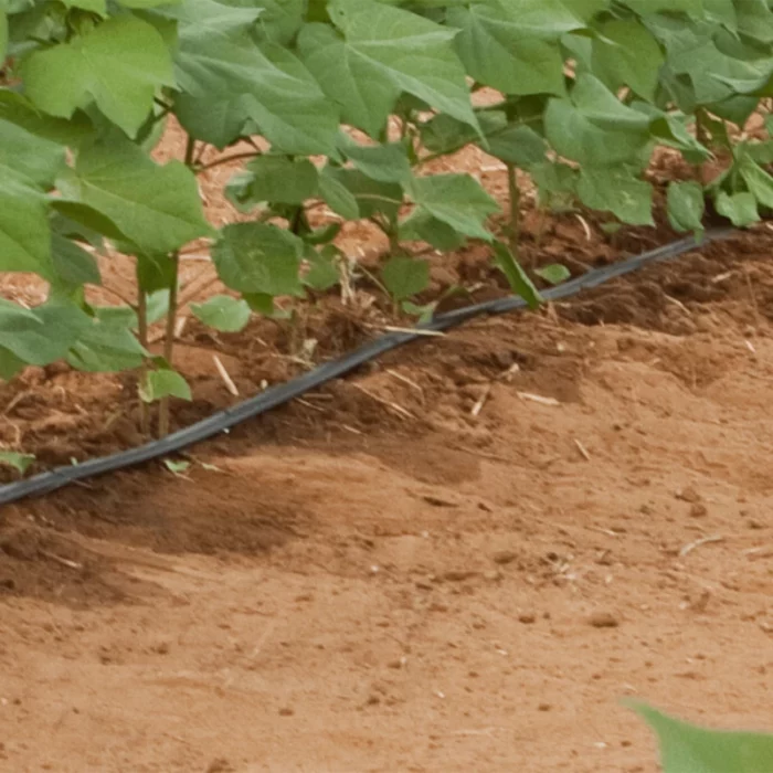 Tuyau avec goutteurs intégrés D2000 – Goutteur plat – Ø 16 mm – Rivulis – Image 2