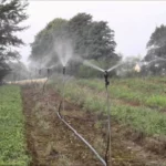 Micro asperseur Meganet - Netafim – Image 2