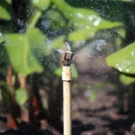 Micro asperseur Mini-Wobbler 1/2" M - Senninger – Image 2