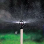 Micro asperseur Gyronet SR - Netafim – Image 2