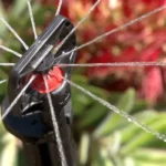 Mini-arroseur Frame Jet - Antelco – Image 2