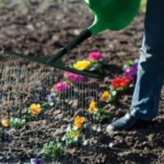 Réglette d'arrosage pour arrosoir - 50cm – Image 2