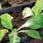 Tuyau micro-poreux Ø 16 mm – Claber – Image 2