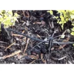 Micro-aspersion Shrubbler en ligne 360° sur pique – Antelco – Image 3