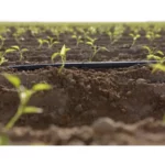 Gaine agricole T-TAPE Ø 16 mm – Rivulis – Image 3