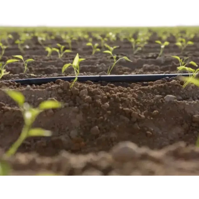 Gaine agricole T-TAPE Ø 16 mm – Rivulis – Image 3