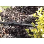 Goutteur Shrubbler à débit réglable – Antelco – Image 3