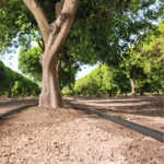 Tuyau avec goutteurs intégrés D2000 – Goutteur plat – Ø 16 mm – Rivulis – Image 3