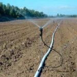 Micro asperseur Meganet - Netafim – Image 3