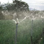 Micro asperseur Mini-Wobbler 1/2" M - Senninger – Image 3