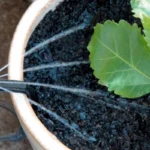 Micro-aspersion Potstream réglable – Antelco – Image 4