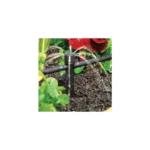 Micro-aspersion Shrubbler en ligne 360° sur pique – Antelco – Image 4