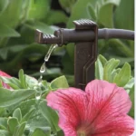 Micro-aspersion Midi Drip sur pique – Antelco – Image 4