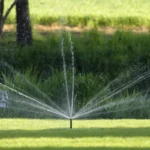 Buse femelle MP-Rotator - Hunter – Image 5