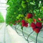 Distributeur hors sol - 1 à 4 sorties - Netafim – Image 4