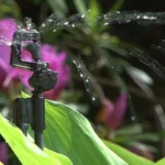 Micro asperseur Rotor Spray - Antelco – Image 4