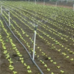 Micro asperseur Mini-Wobbler 1/2" M - Senninger – Image 4