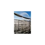 Arroseur antigel 17 ATG 1/2"M - Rolland – Image 5