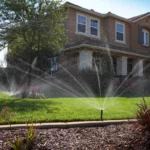 Buse femelle MP-Rotator - Hunter – Image 7