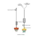 Asperseur SpinNet FLT - Turbine grise - Netafim – Image 7