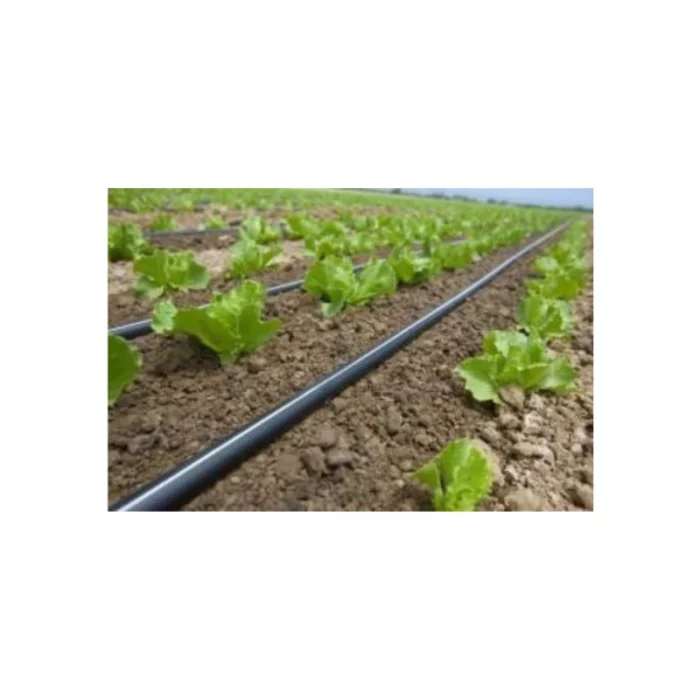 Gaine agricole T-TAPE Ø 16 mm – Rivulis – Image 7