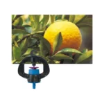 Micro asperseur Gyronet SR - Netafim – Image 7