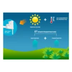 Sonde météorologique – Hunter Solar Sync – Image 7