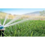 Buse femelle MP-Rotator - Hunter – Image 10